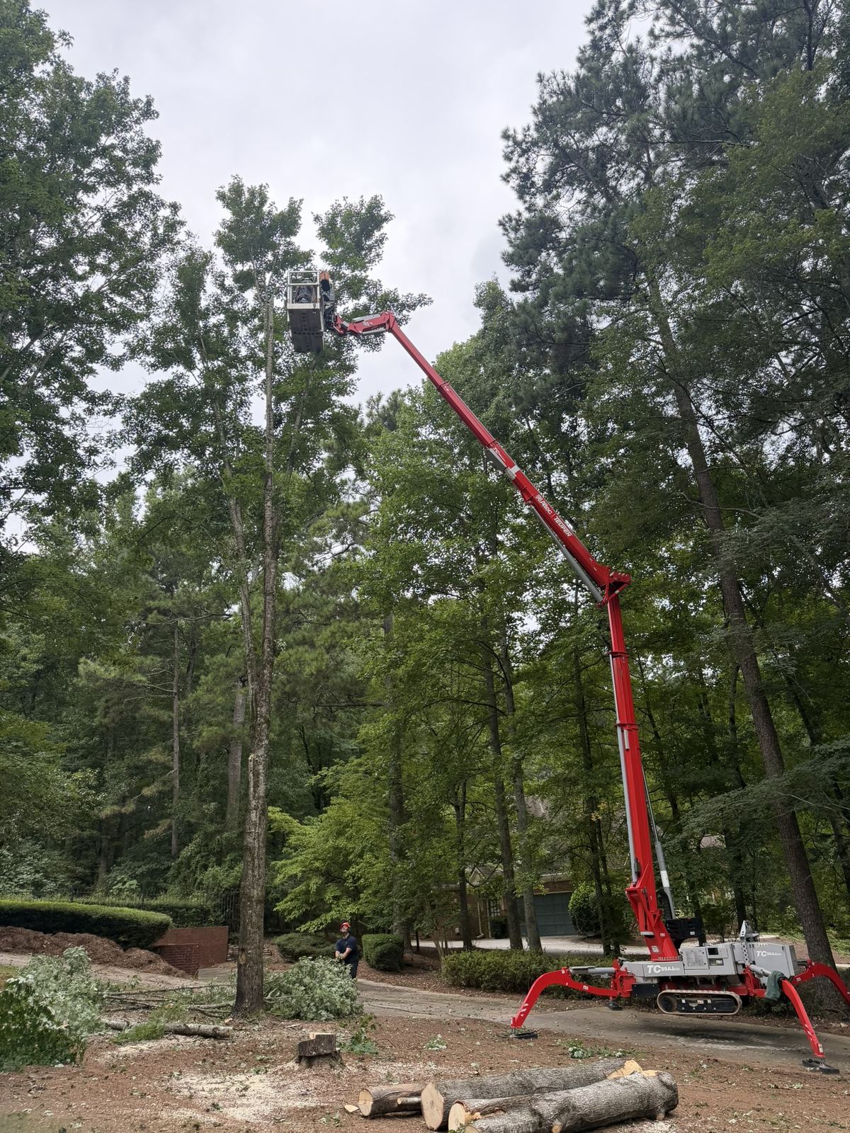 Lift at full reach in a wooded yard