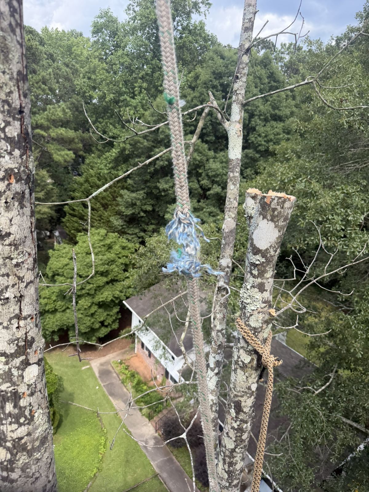 Sections tied off on ropes high above a house